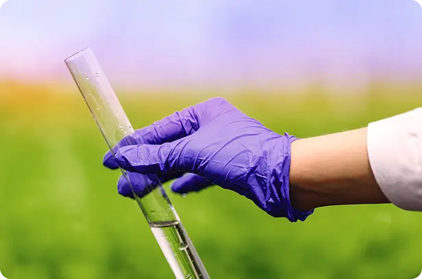 Purity, Potency, Precision