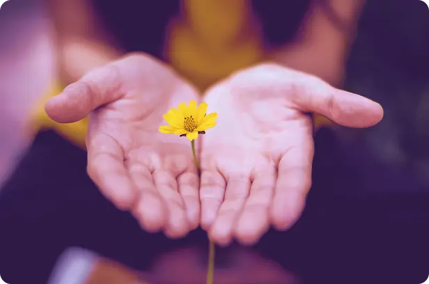 Sustainability for Health and Planet