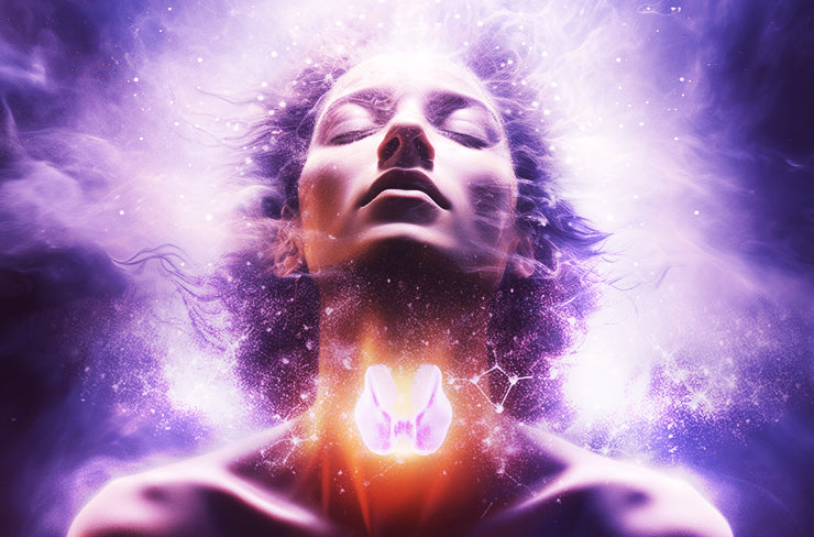 Regenerate The Thyroid & Parathyroid