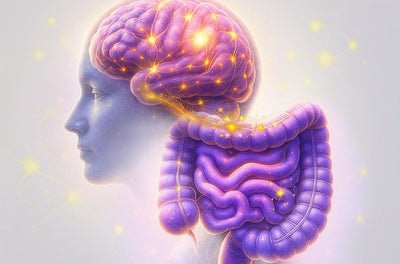 The Gut-Brain Connection Your Microbiome