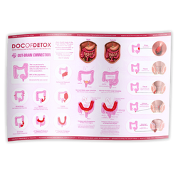 Posters (Digestive Tract and Colon Chart)