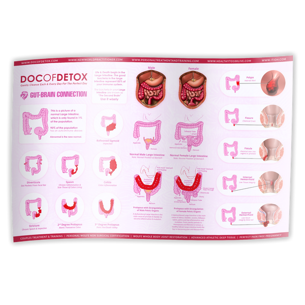 Posters (Digestive Tract and Colon Chart)