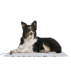 LifeGuard Grounding Pet Bed *