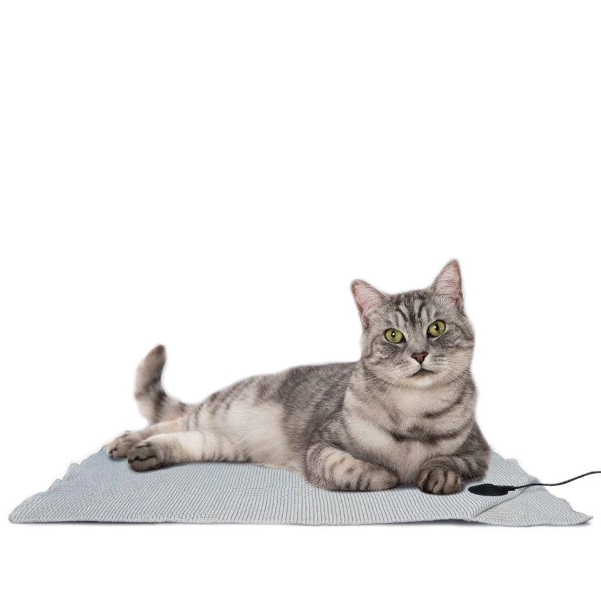 LifeGuard Grounding Pet Bed