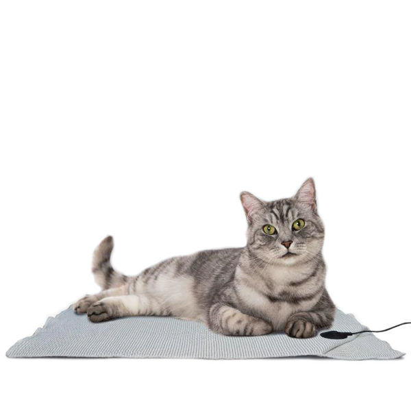 LifeGuard Grounding Pet Bed *