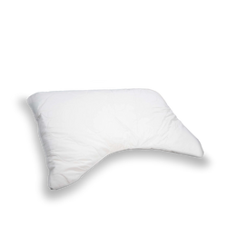 LifeGuard Organic Pillow *