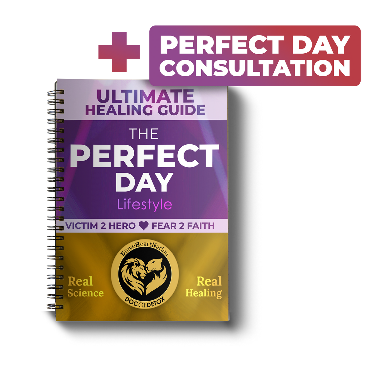 Type-Perfect Day Consultation plus Manual (printed)