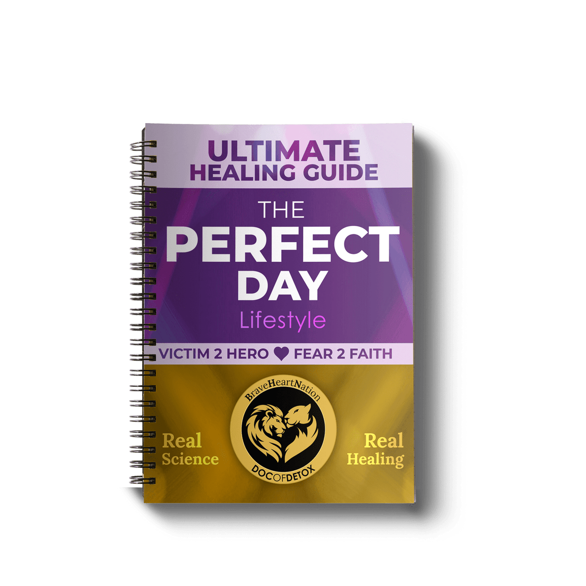 Type-MANUAL ONLY: Ultimate Healing Guide: Perfect Day Manual