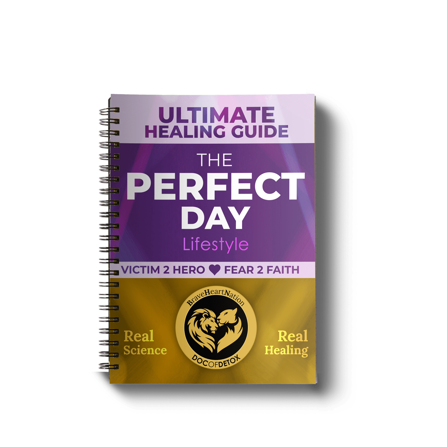 Type-MANUAL ONLY: Ultimate Healing Guide: Perfect Day Manual
