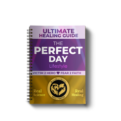 Ultimate Healing Guide – The Perfect Day Lifestyle Manual (Currently Digital Only)