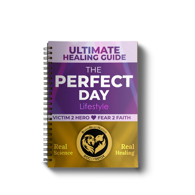Ultimate Healing Guide – The Perfect Day Lifestyle Manual (Currently Digital Only)