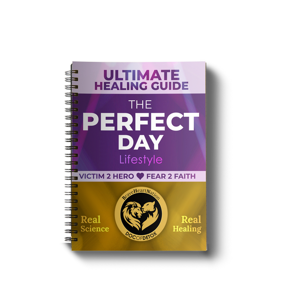 Ultimate Healing Guide – The Perfect Day Lifestyle Manual (Currently Digital Only)