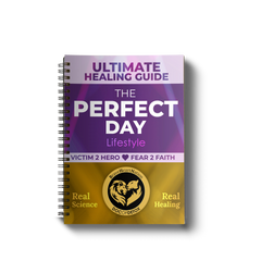 Ultimate Healing Guide – The Perfect Day Lifestyle Manual (Currently Digital Only)