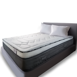 LifeGuard Grounding Biohacking Mattress *