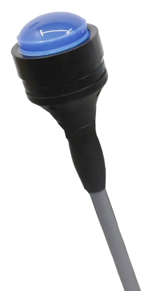 CellSonic Regeneration Replacement Pulsehead