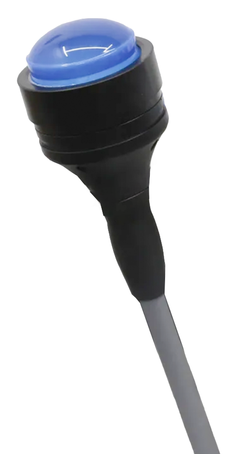 CellSonic Regeneration Replacement Pulsehead