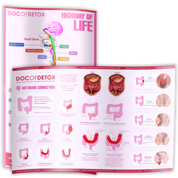 Posters (Digestive Tract and Colon Chart)