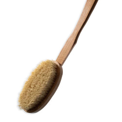 Dry Skin Brush