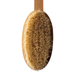 Dry Skin Brush